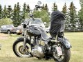 DSC5117