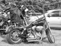 DSC5123