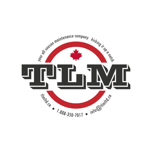 TLM